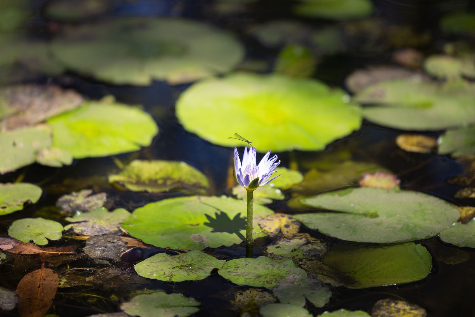 A Family Property with History, Space, and Stunning Views