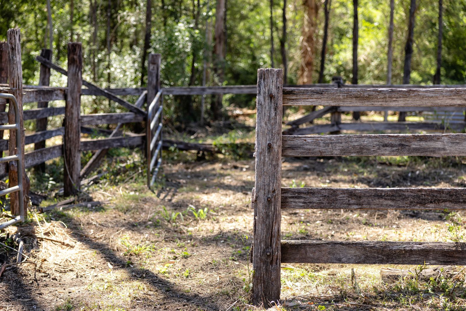 A Family Property with History, Space, and Stunning Views