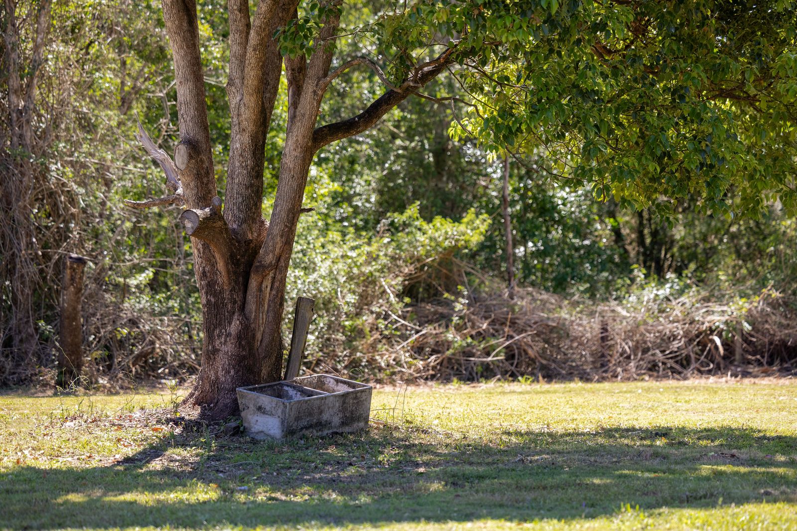 A Family Property with History, Space, and Stunning Views