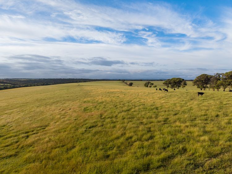 Kooltinnie Creek - Productive, Peaceful and Perfectly Positioned for the Future Potential Mixed Farming | WA Drome, WA 6330 | Prop-GPT the AI-Powered Property Portal