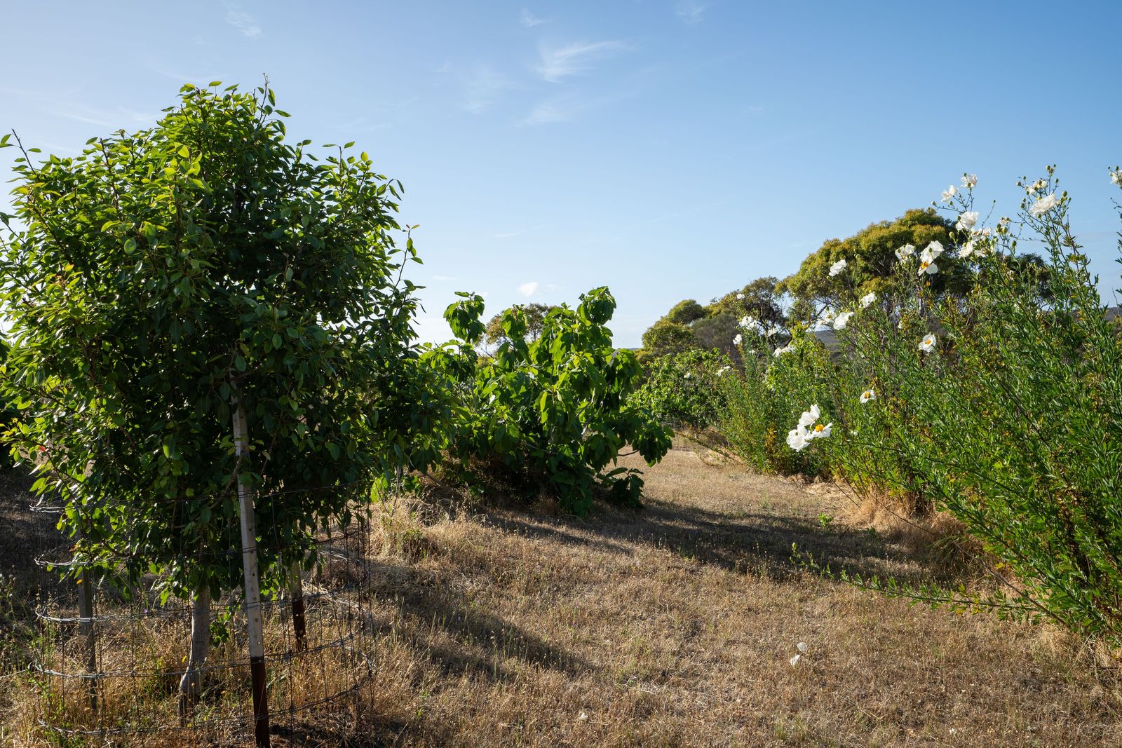 A Rare Riverfront Sanctuary With Absolute Frontage to the Pallinup River