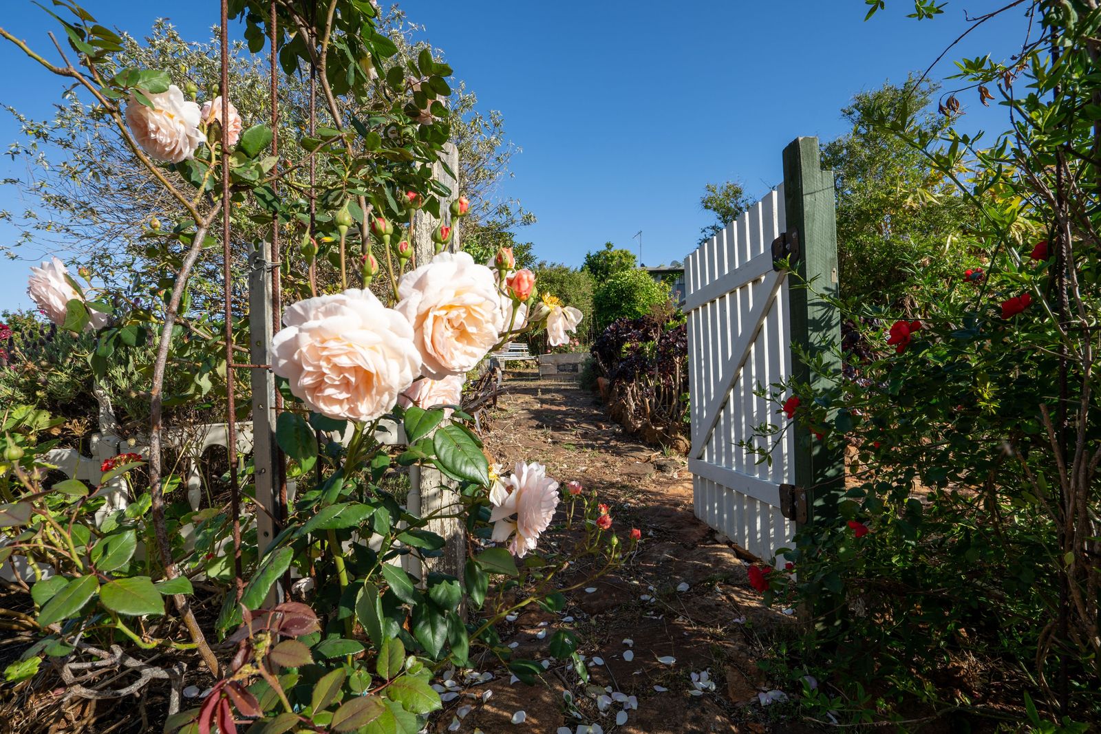 A Rare Riverfront Sanctuary With Absolute Frontage to the Pallinup River