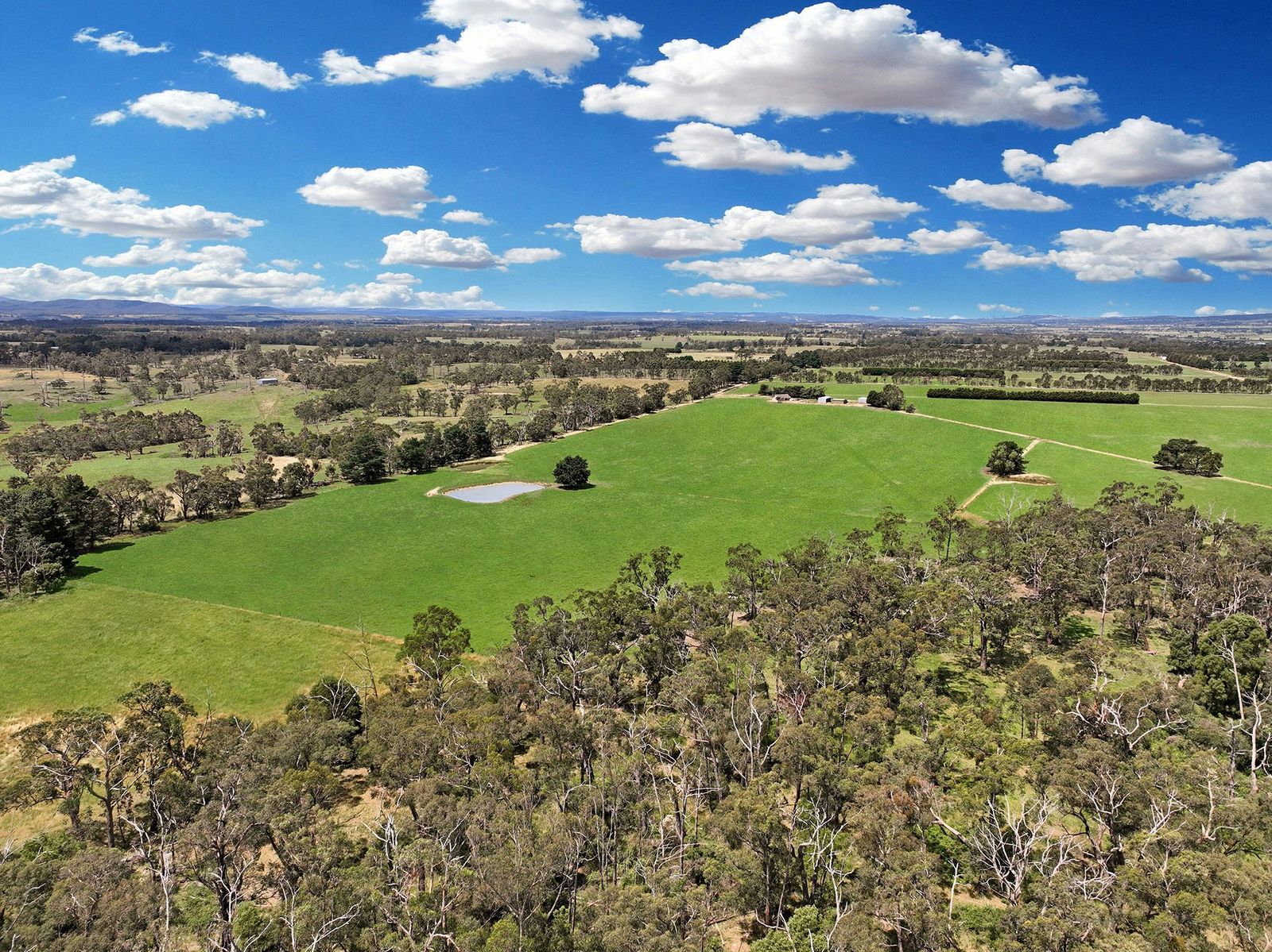 151 acres with sweeping views- creek frontage