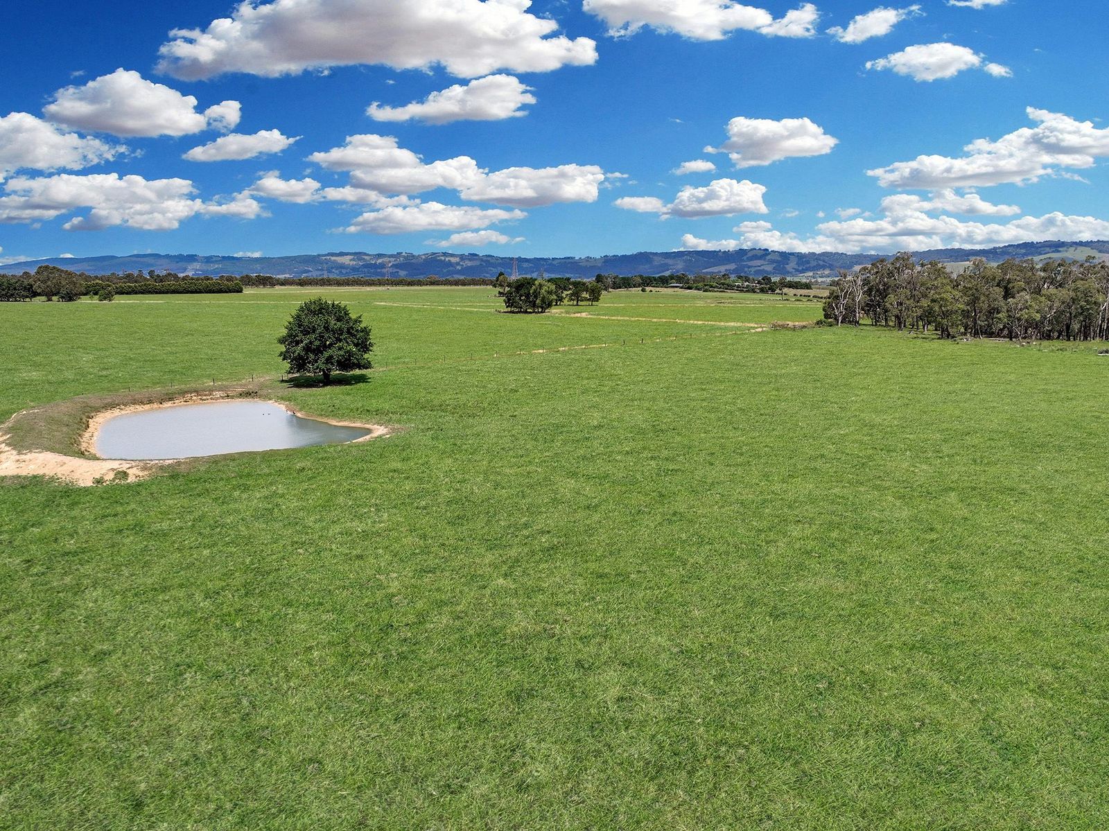 151 acres with sweeping views- creek frontage