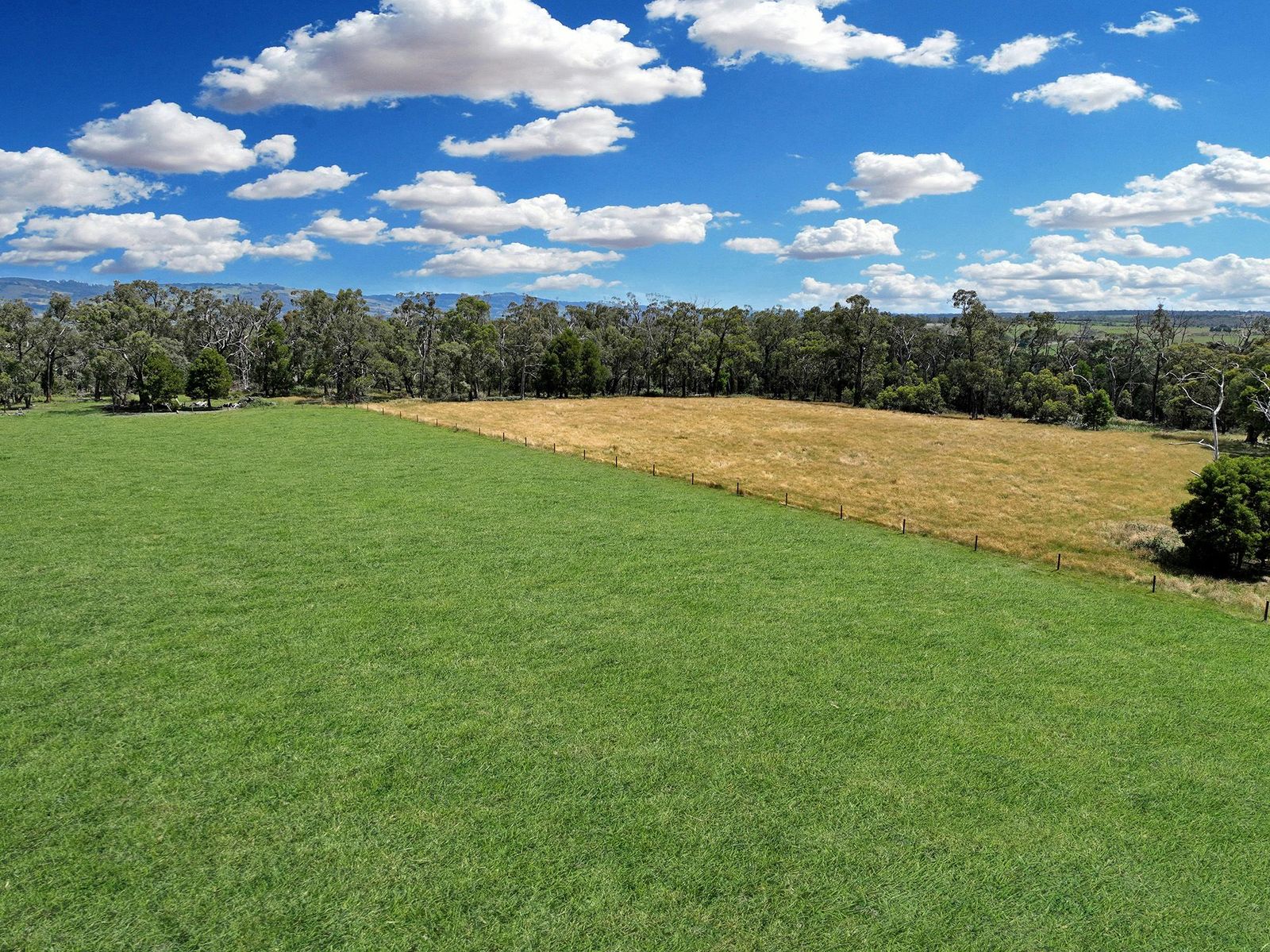 151 acres with sweeping views- creek frontage