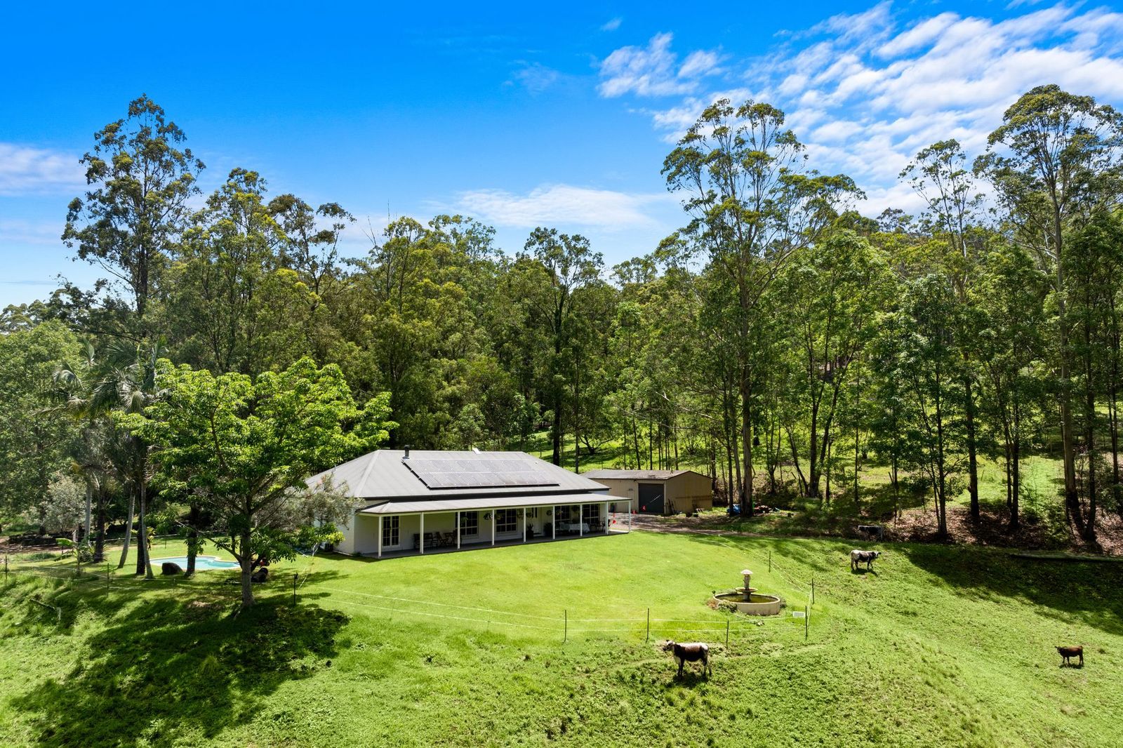 63-acres of privacy, natural beauty, and exceptional land capability Lifestyle | NSW Kyogle, NSW 2474 | Prop-GPT the AI-Powered Property Portal