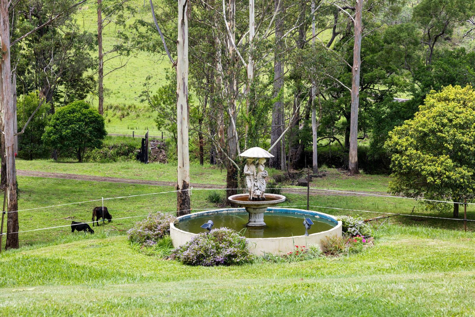 63-acres of privacy, natural beauty, and exceptional land capability