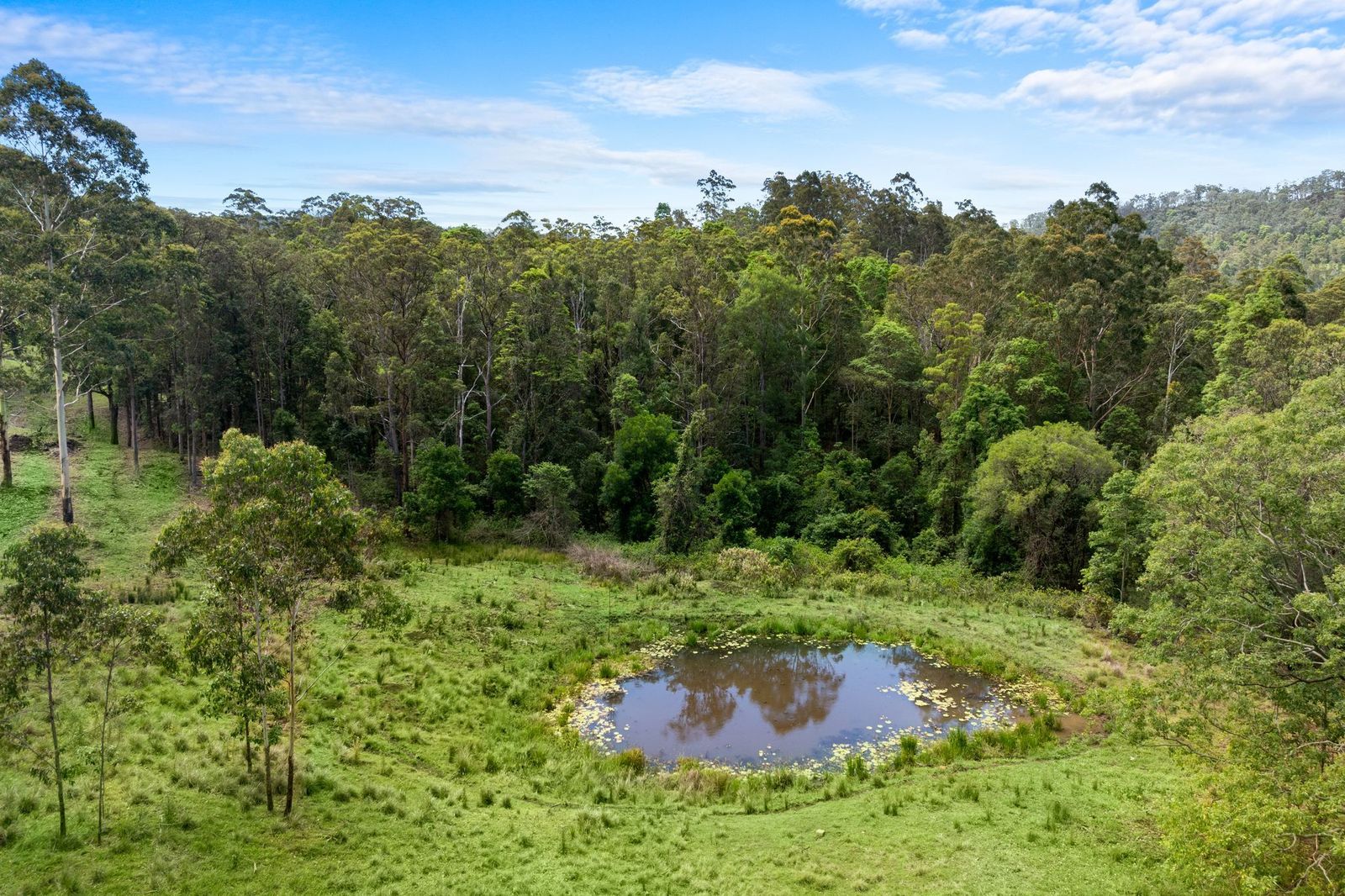 63-acres of privacy, natural beauty, and exceptional land capability