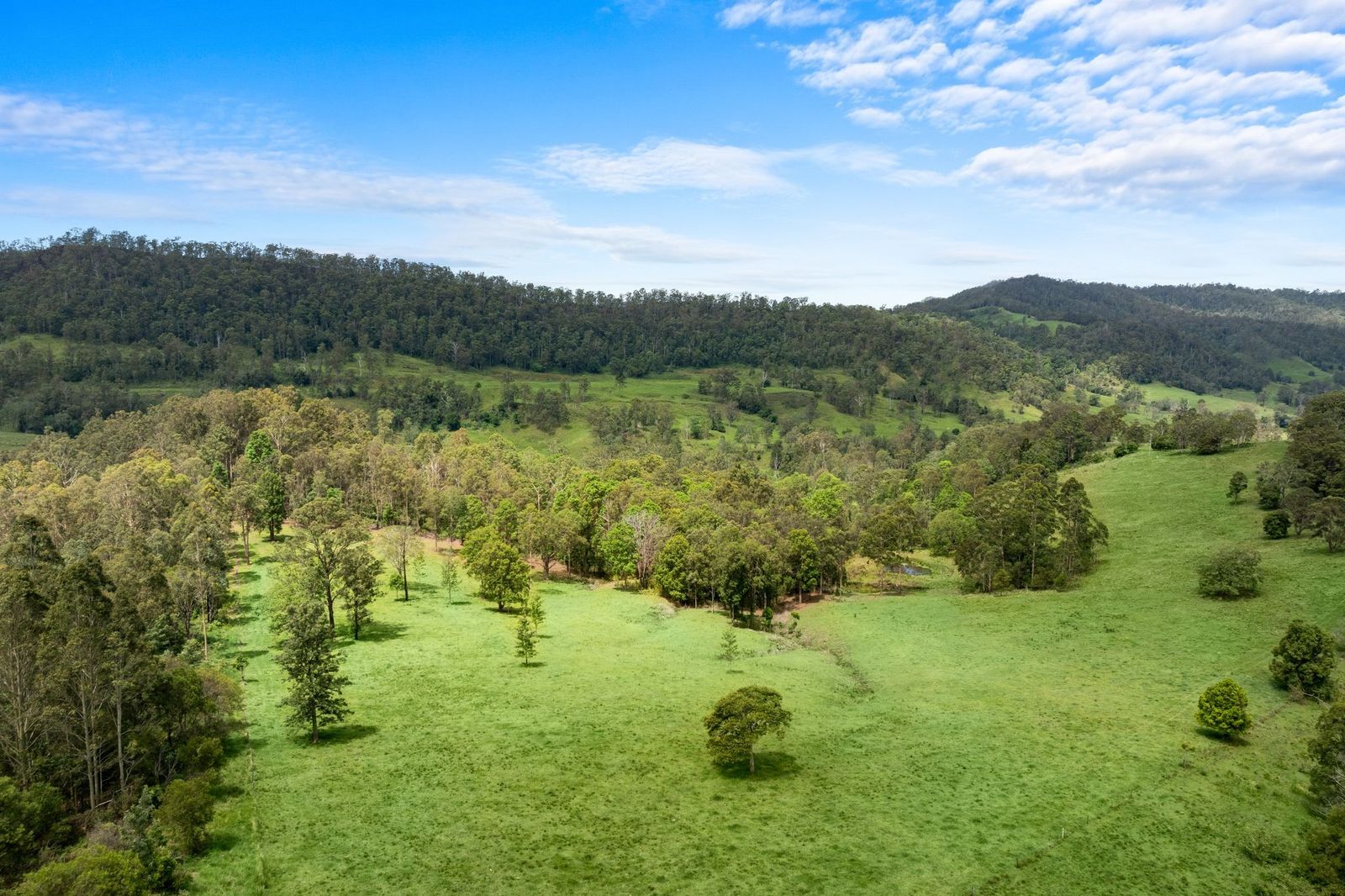 63-acres of privacy, natural beauty, and exceptional land capability