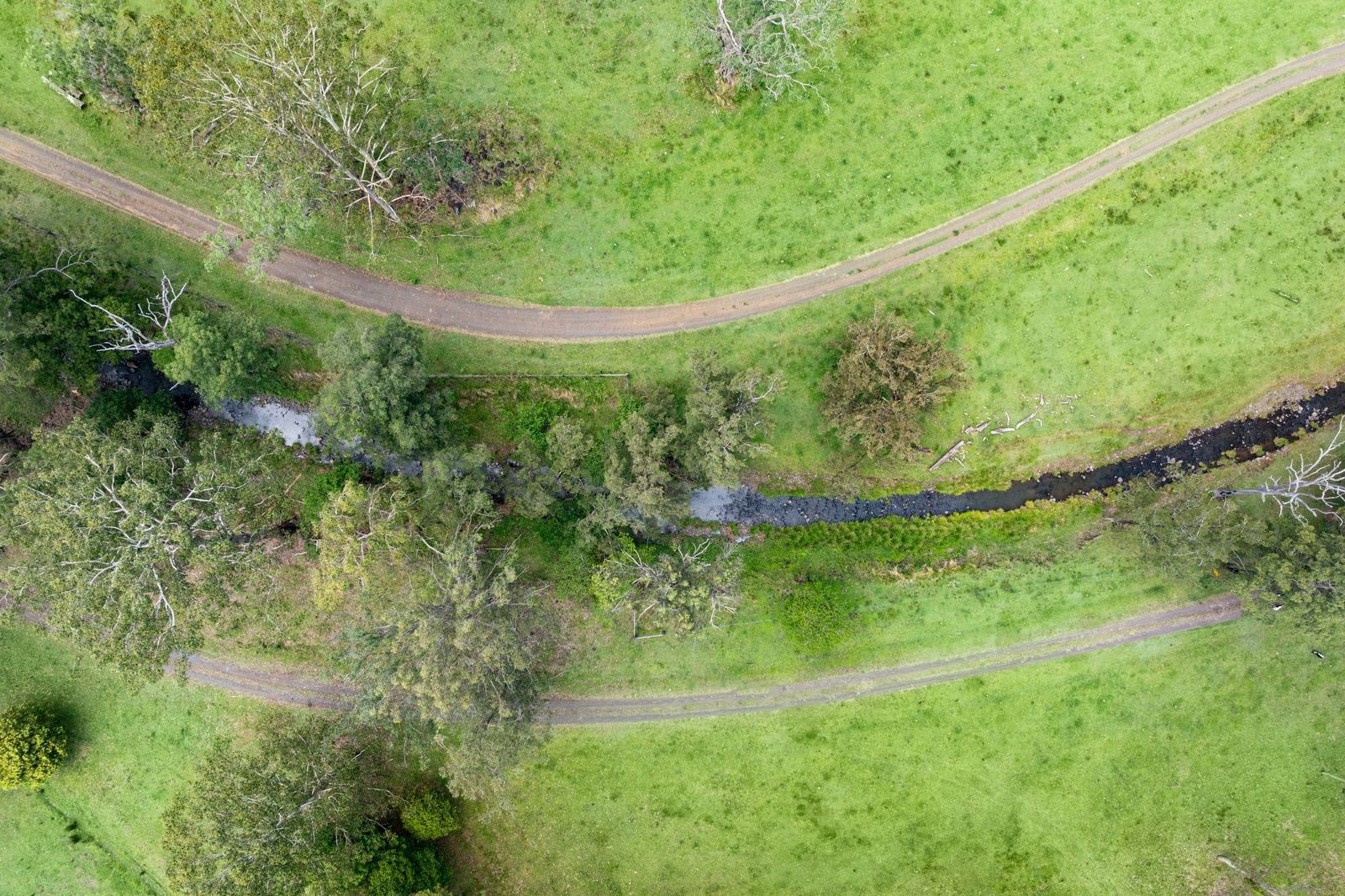 63-acres of privacy, natural beauty, and exceptional land capability