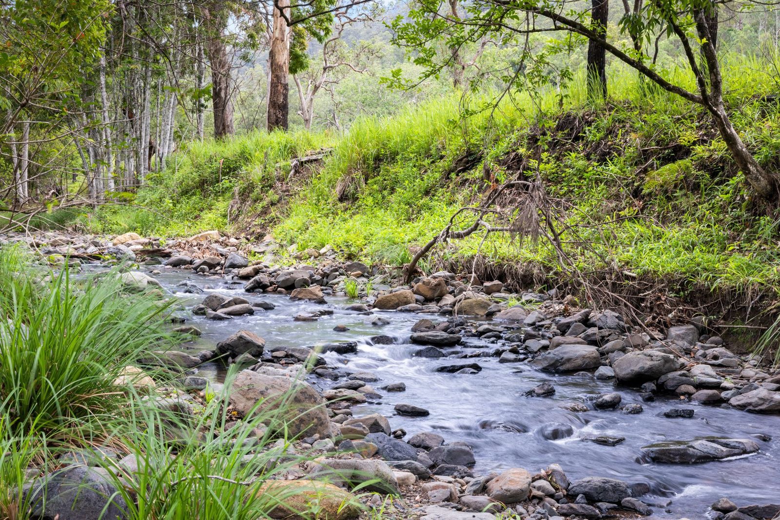 63-acres of privacy, natural beauty, and exceptional land capability