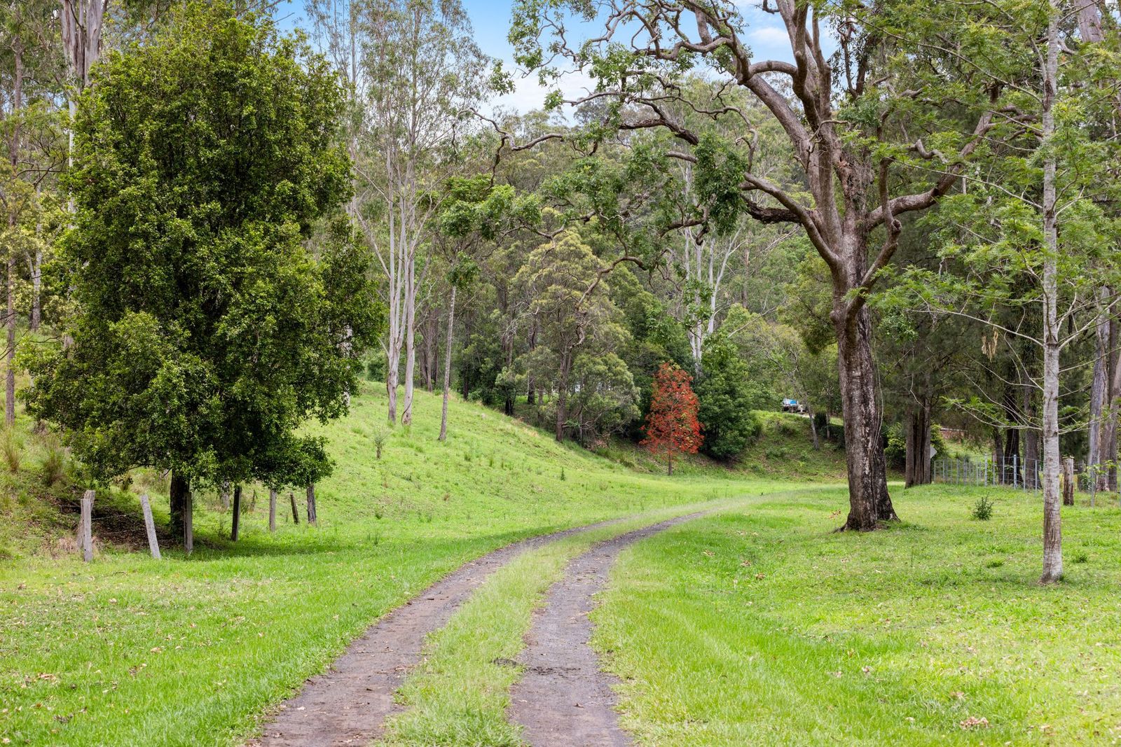 63-acres of privacy, natural beauty, and exceptional land capability