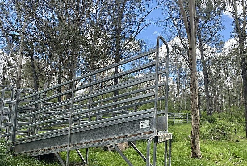 465 Ellangowan - Myrtle Creek Road, Ellangowan NSW 2470