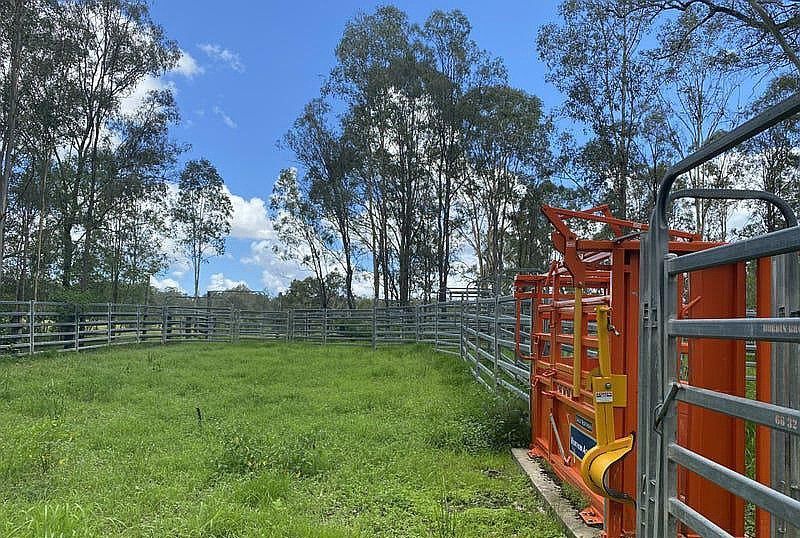 465 Ellangowan - Myrtle Creek Road, Ellangowan NSW 2470