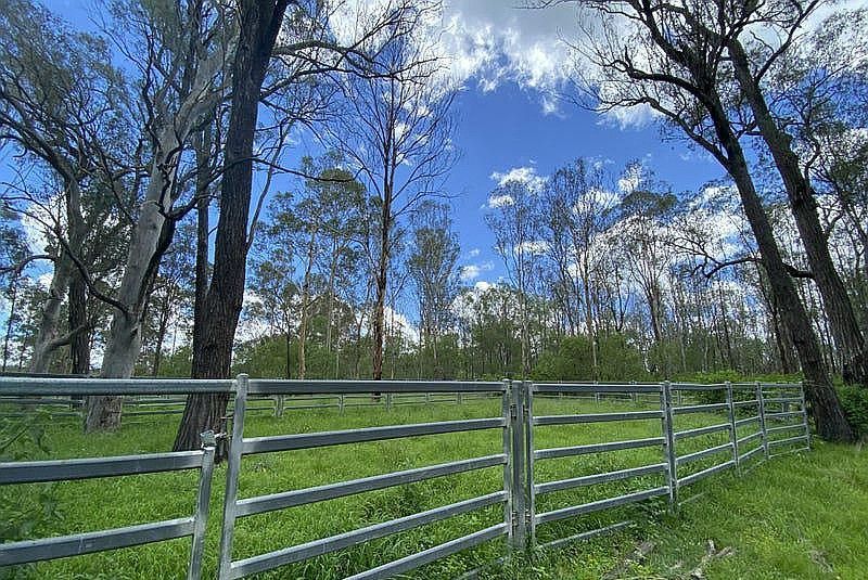 465 Ellangowan - Myrtle Creek Road, Ellangowan NSW 2470