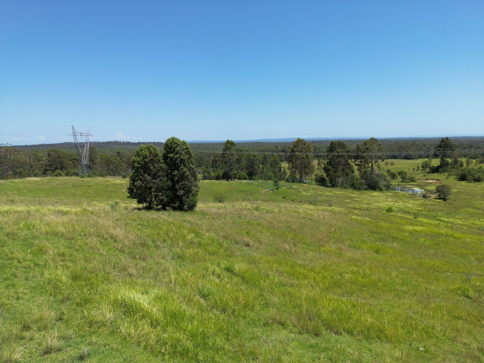 465 Ellangowan - Myrtle Creek Road, Ellangowan NSW 2470