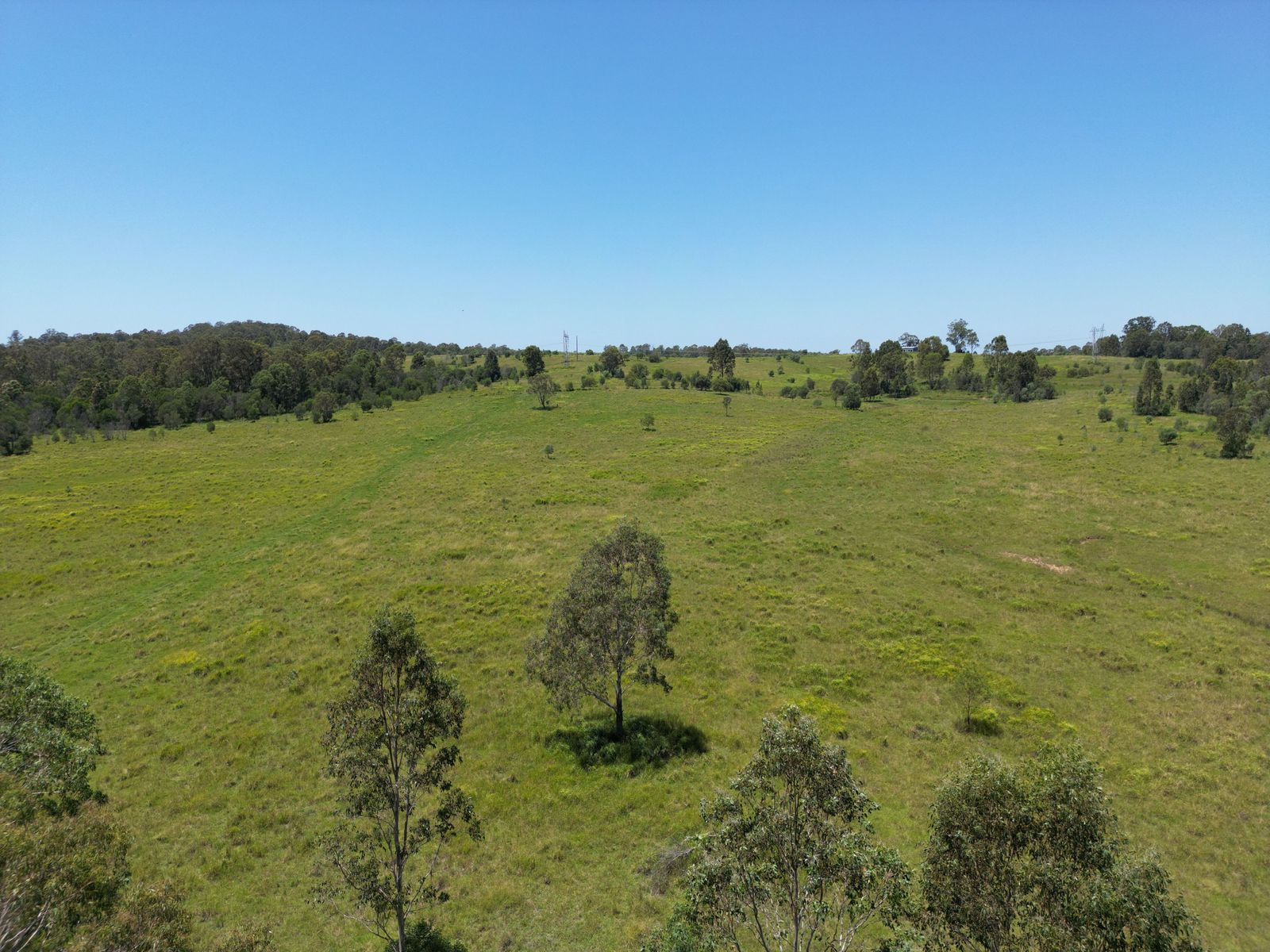 465 Ellangowan - Myrtle Creek Road, Ellangowan NSW 2470