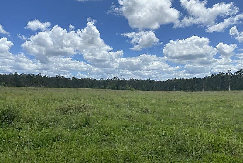 465 Ellangowan - Myrtle Creek Road, Ellangowan NSW 2470