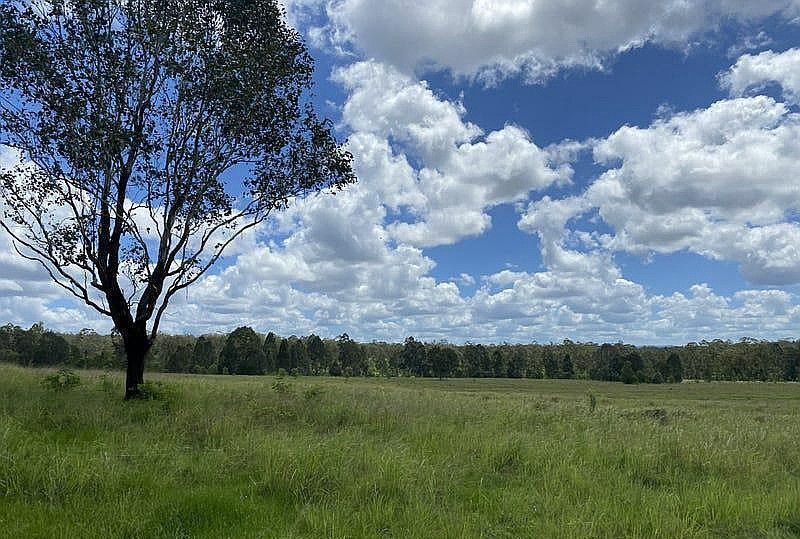 465 Ellangowan - Myrtle Creek Road, Ellangowan NSW 2470