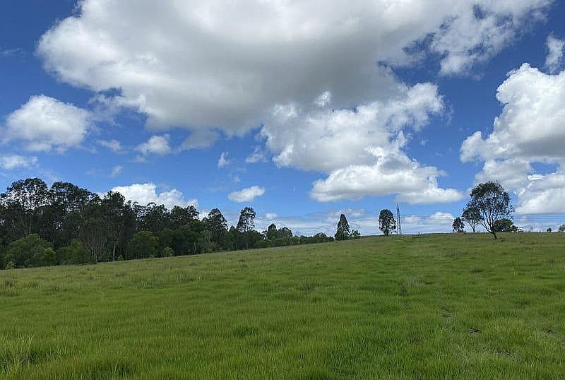 465 Ellangowan - Myrtle Creek Road, Ellangowan NSW 2470