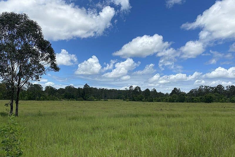 465 Ellangowan - Myrtle Creek Road, Ellangowan NSW 2470