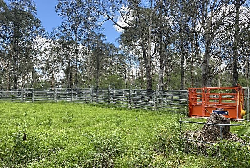 465 Ellangowan - Myrtle Creek Road, Ellangowan NSW 2470