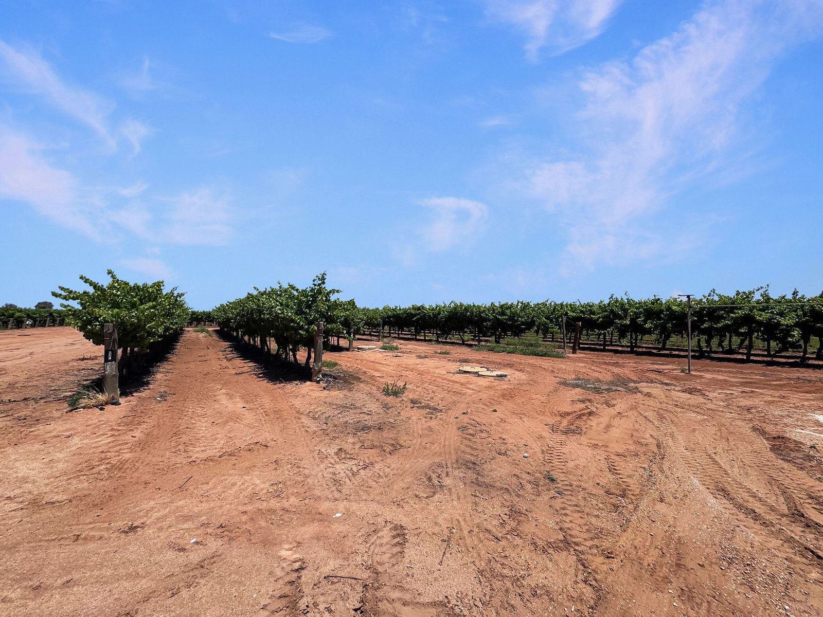 Charming 1 Bedroom Gem near Barmera!