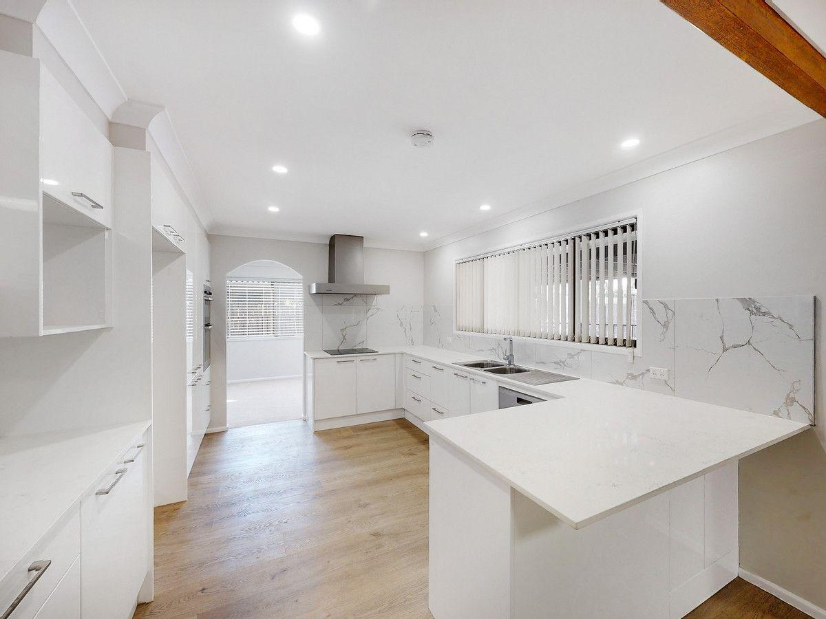 31 Sherry Street, Carseldine, QLD 4034 - House for Rent - harcourts.net