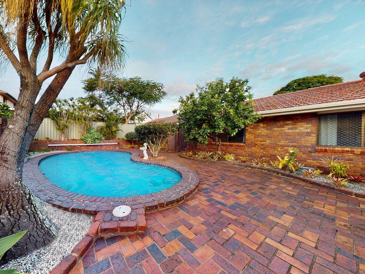 31 Sherry Street, Carseldine, QLD 4034 - House for Rent - harcourts.net