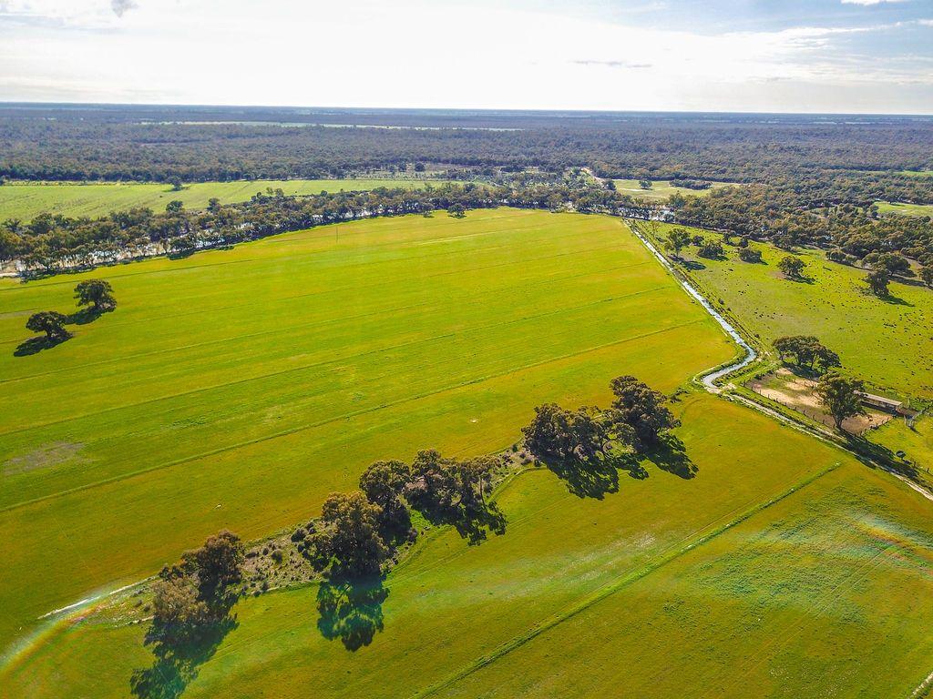 Farming, Lifestyle and Nature - 2500 Acres