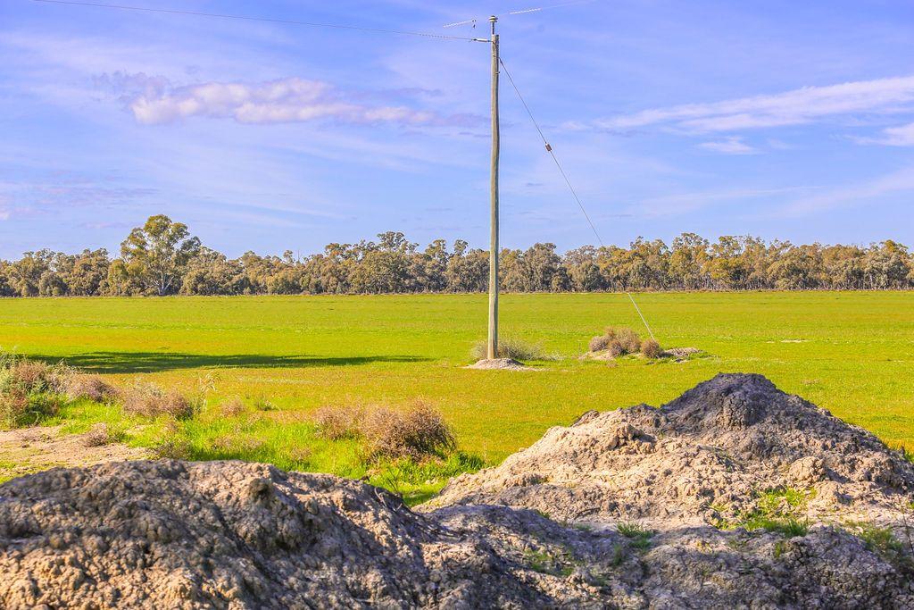 Farming, Lifestyle and Nature - 2500 Acres