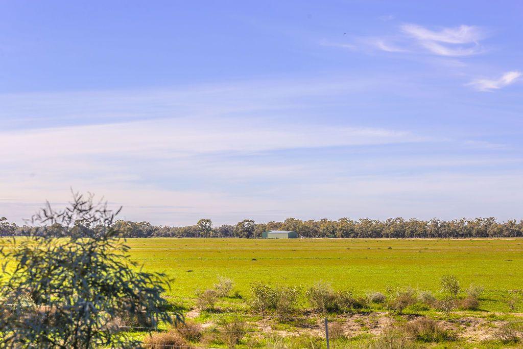 Farming, Lifestyle and Nature - 2500 Acres