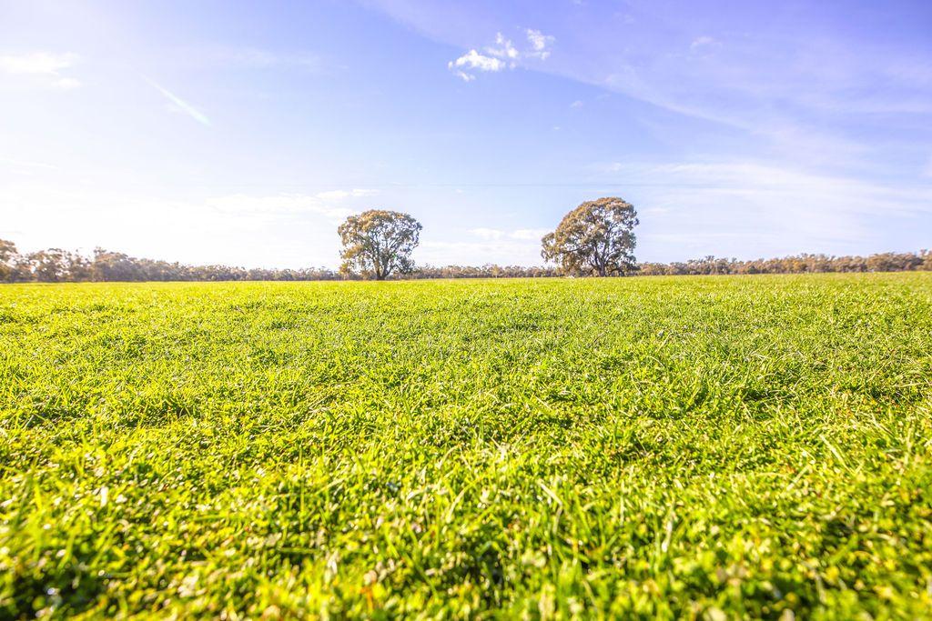 Farming, Lifestyle and Nature - 2500 Acres