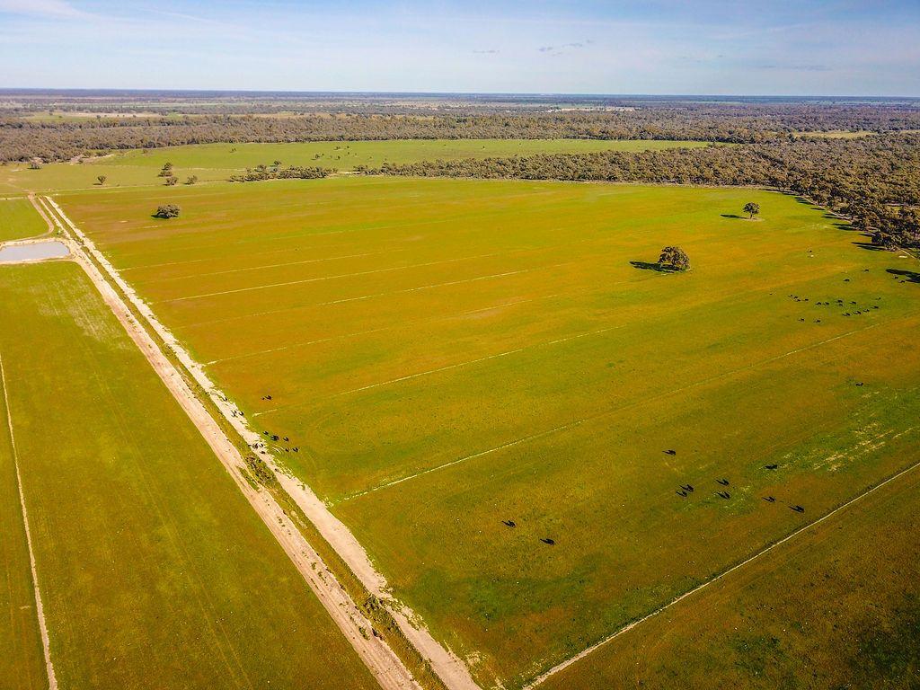 Farming, Lifestyle and Nature - 2500 Acres
