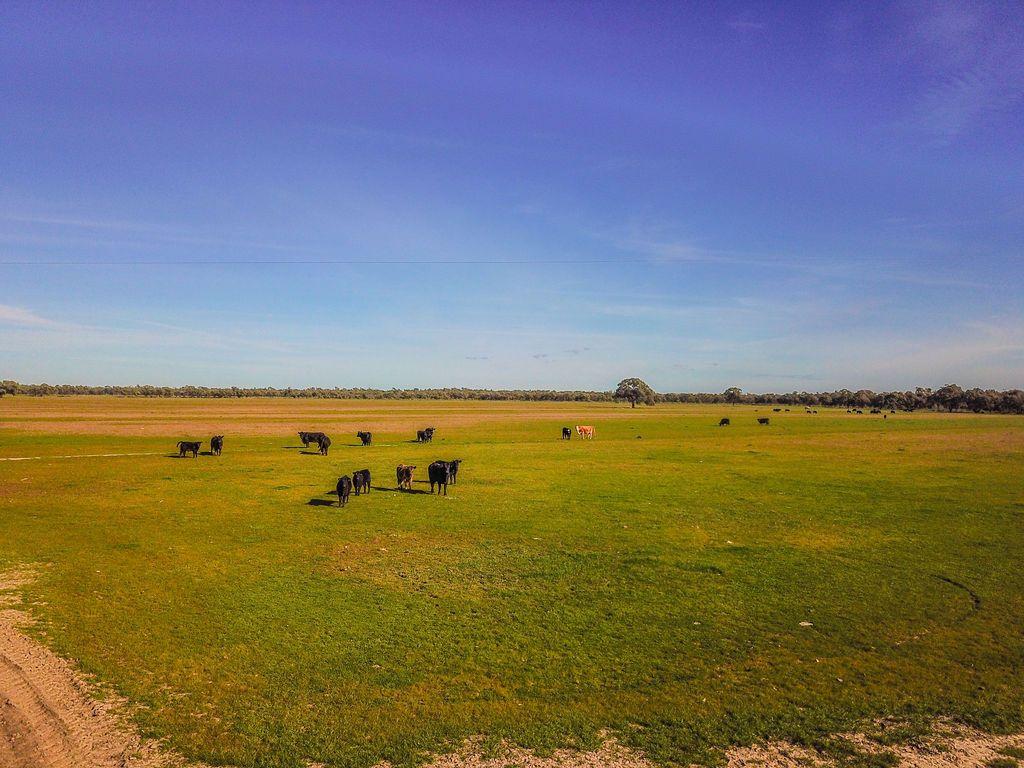 Farming, Lifestyle and Nature - 2500 Acres