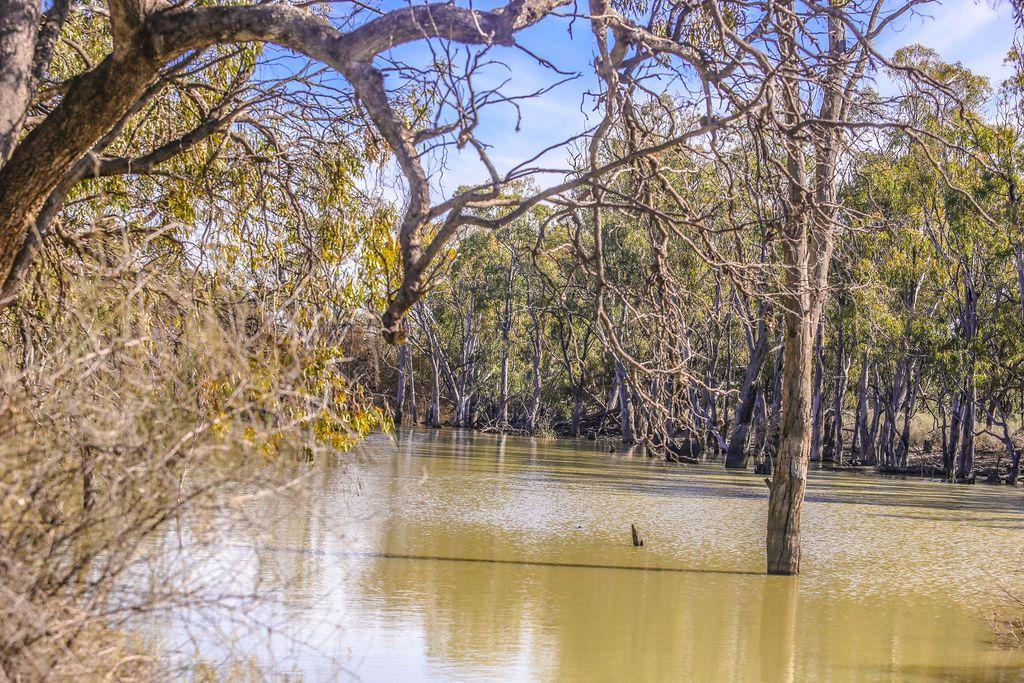 Farming, Lifestyle and Nature - 2500 Acres