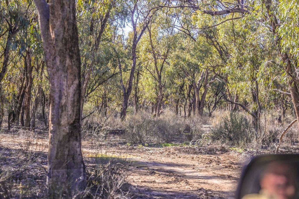 Farming, Lifestyle and Nature - 2500 Acres