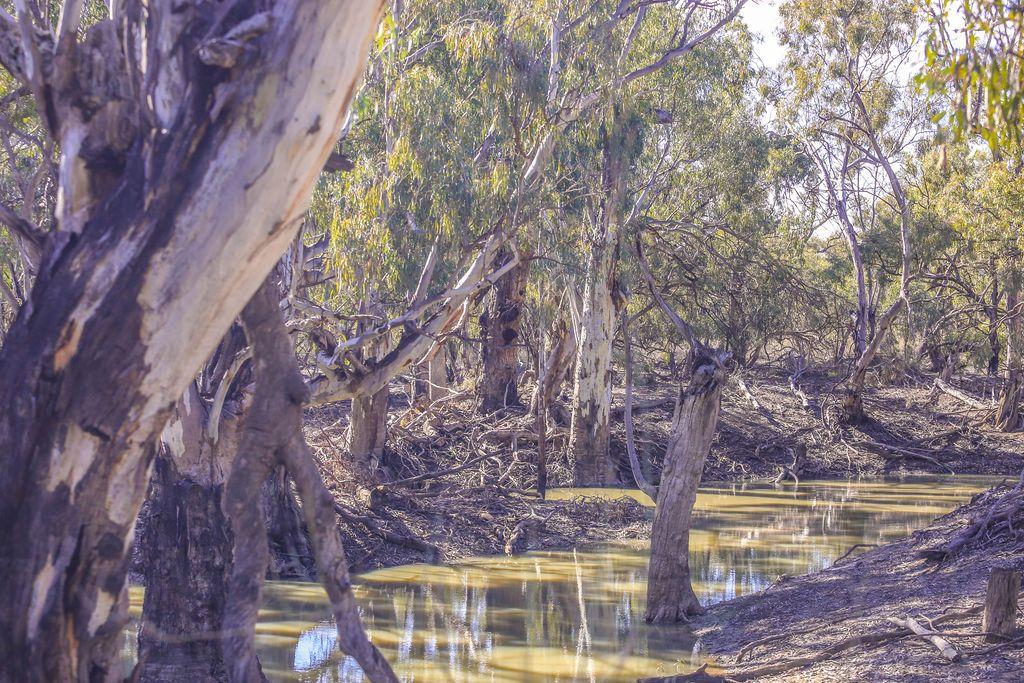Farming, Lifestyle and Nature - 2500 Acres