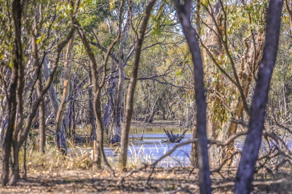 Farming, Lifestyle and Nature - 2500 Acres