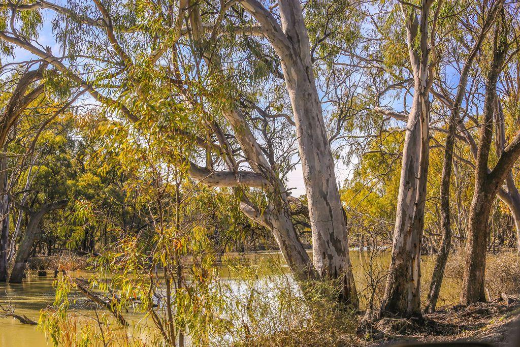 Farming, Lifestyle and Nature - 2500 Acres