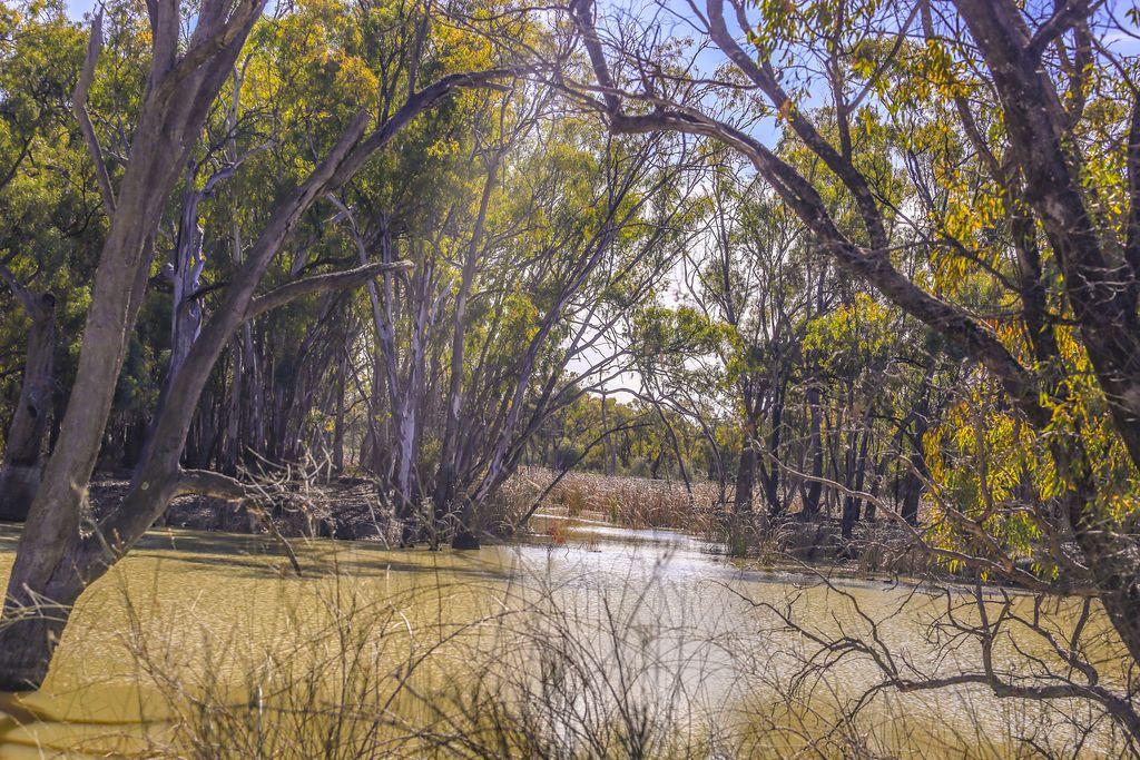 Farming, Lifestyle and Nature - 2500 Acres