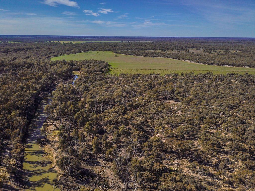 Farming, Lifestyle and Nature - 2500 Acres