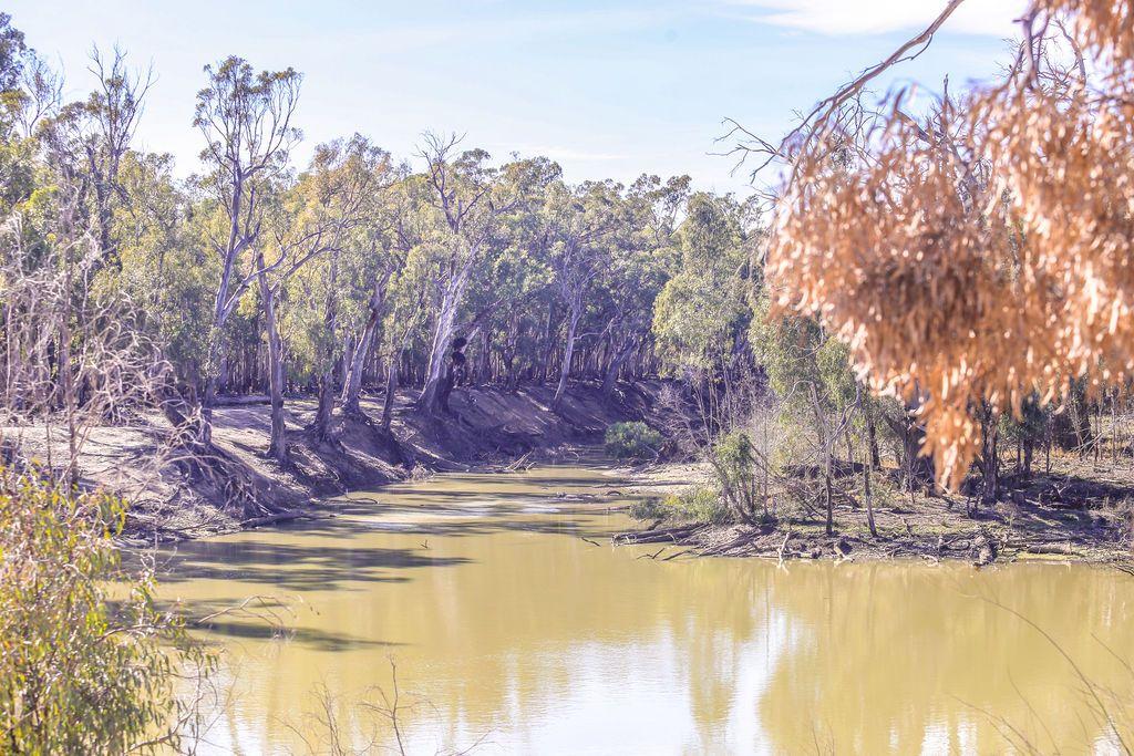 Farming, Lifestyle and Nature - 2500 Acres