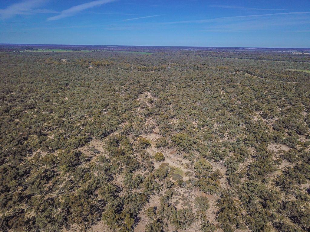 Farming, Lifestyle and Nature - 2500 Acres