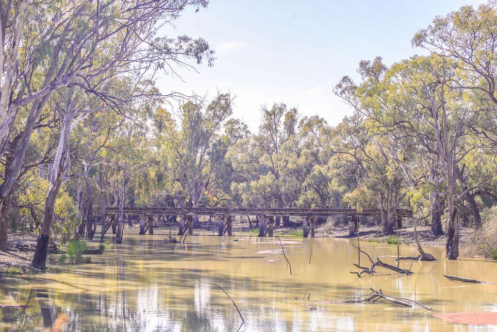 Farming, Lifestyle and Nature - 2500 Acres