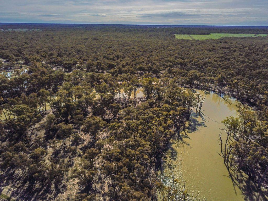 Farming, Lifestyle and Nature - 2500 Acres