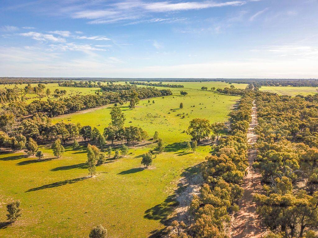 Farming, Lifestyle and Nature - 2500 Acres