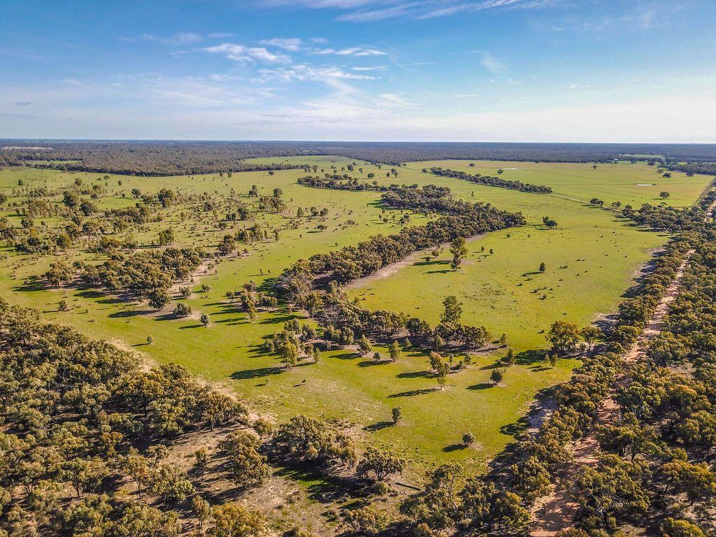 Farming, Lifestyle and Nature - 2500 Acres
