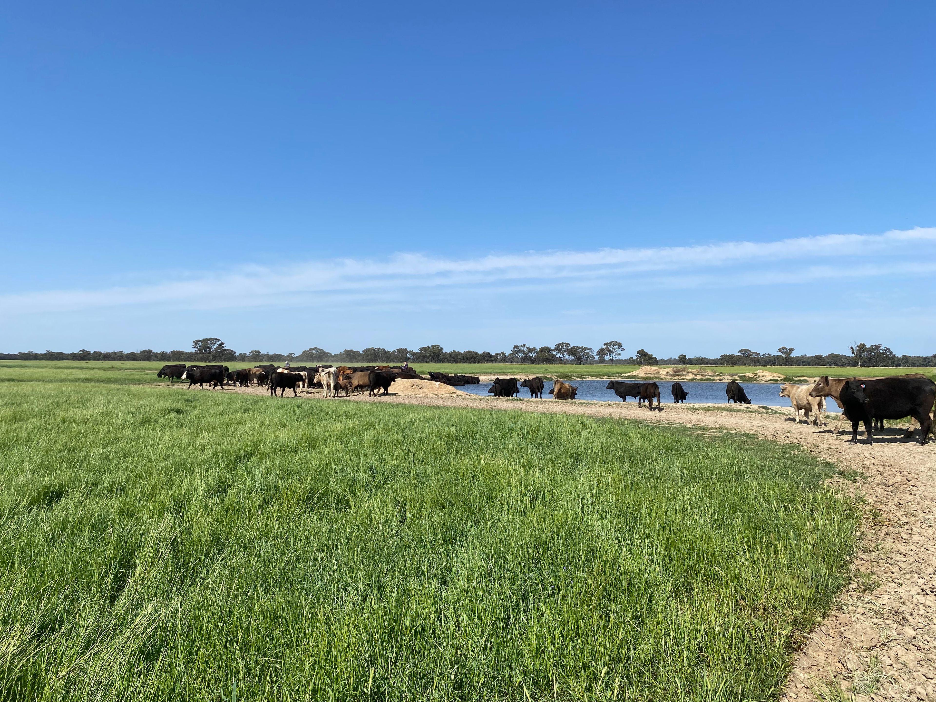 Farming, Lifestyle and Nature - 2500 Acres