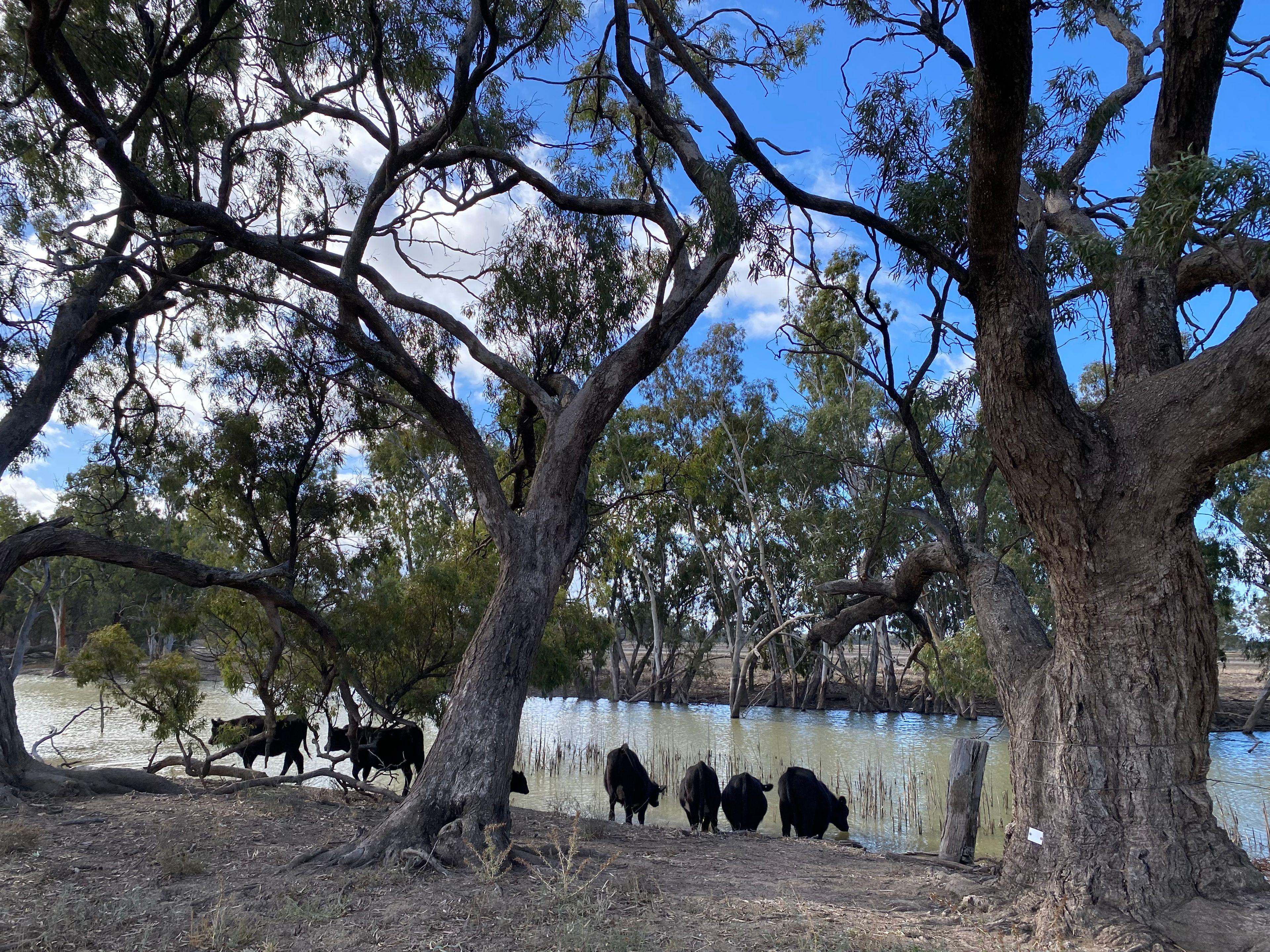 Farming, Lifestyle and Nature - 2500 Acres